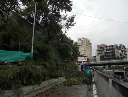 El Dagma se une a jornada de �ltimos retoques en inmediaciones del t�nel de la Avda. Colombia