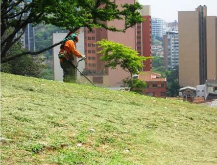 El Dagma contin�a labores de mantenimiento en zonas verdes de Cali