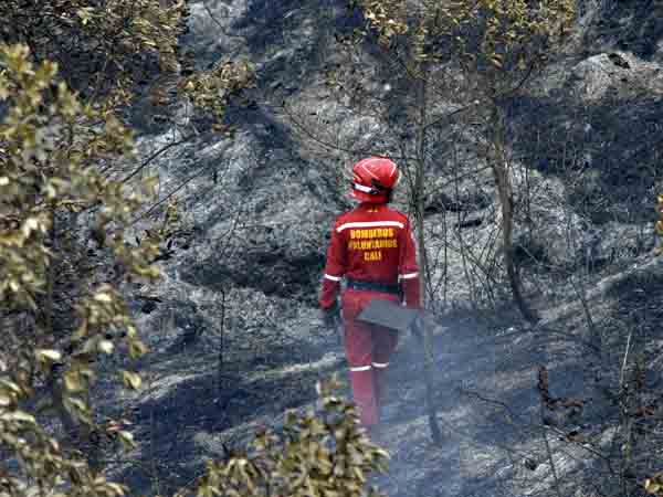 Van 230 hect�reas de vegetaci�n quemadas por los incendios forestales