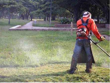 Ejecutado el 89 % del mantenimiento de zonas verdes en separadores viales y riberas del r�o Cali