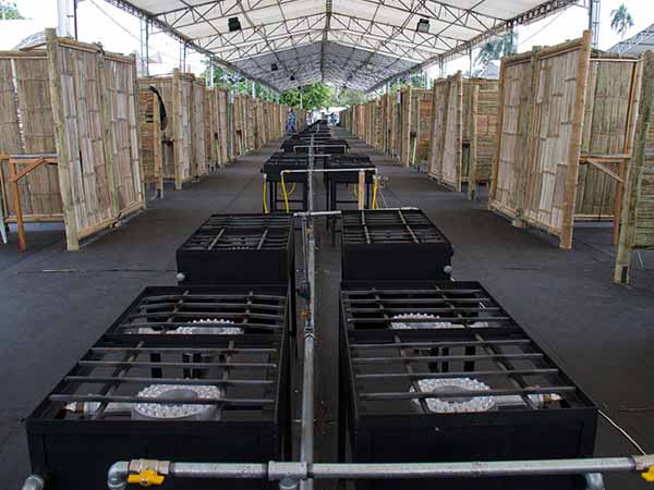 Organismos de socorro, listos para el Petronio �lvarez