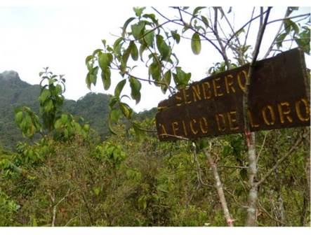 Reiteran recomendaciones a quienes quieran aventurarse en Pico de Loro