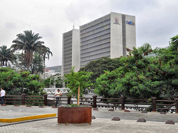 Acci�n de tutela contra el Municipio de Cali y la Comisi�n Nacional del Estado Civil