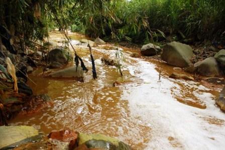 El Aguacatal requiere protecci�n de la comunidad; protejamos los r�os de Cali