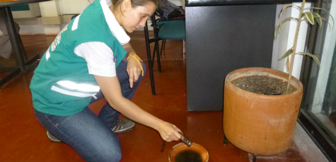 Habr� jornada contra el dengue en La Floresta, este mi�rcoles