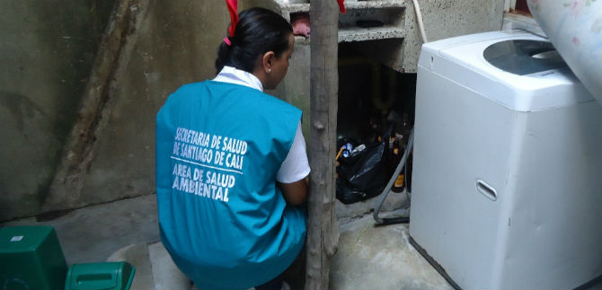 Jornada contra el dengue y el Chikungu�a en 539 predios de la comuna 11