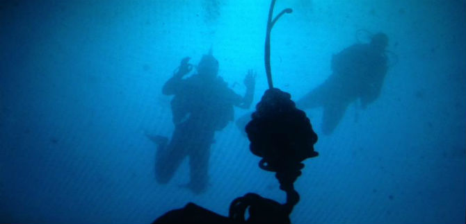El camino de las hormigas lleg� al Mediterr�neo