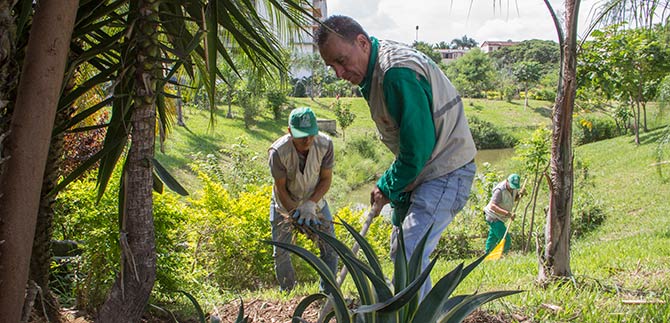 Alcald�a de Cali se une al D�a Mundial del Medio Ambiente