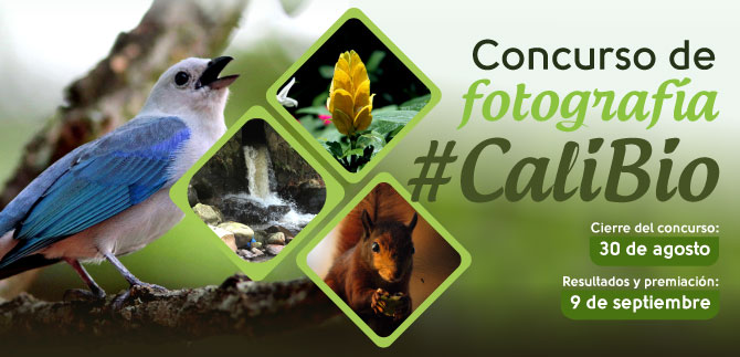Retrata nuestra biodiversidad en el Concurso de Fotograf�a CaliBio