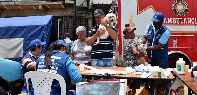 Brigada de salud animal, por D�a Mundial contra la Rabia