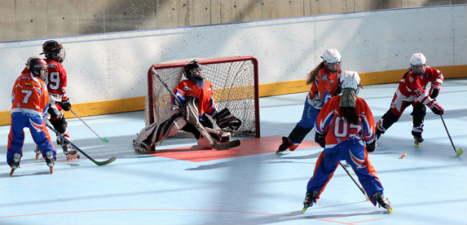 Cali vivir� la Tercera Parada de Hockey en L�nea