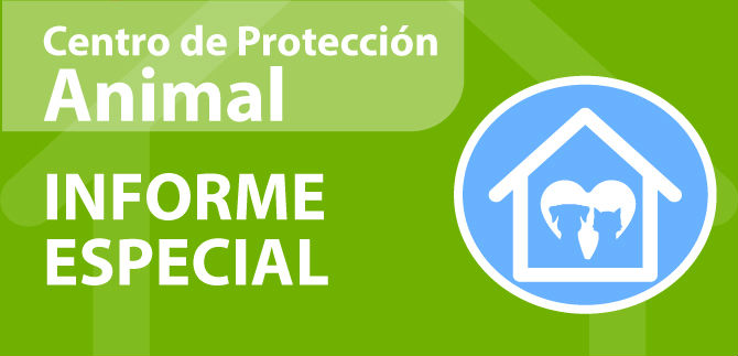 Centro de protecci�n animal, un asunto humano