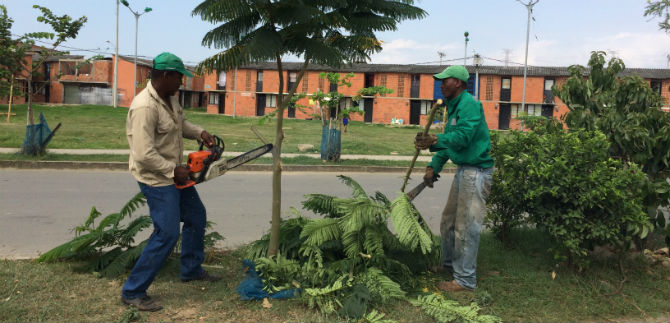 Dagma lider� remoci�n  de escombros y siembra de �rboles en la minga ambiental de la comuna 21