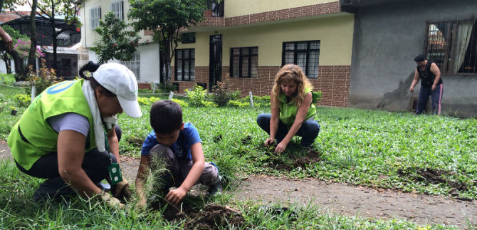 Con minga, controles a plagas y �rboles, Dagma le cumple a la comuna 10