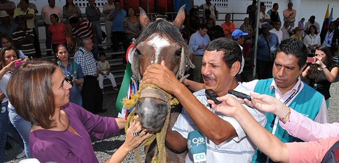 Emotivo adi�s de carretilleros que cambiaron sus caballos por camionetas