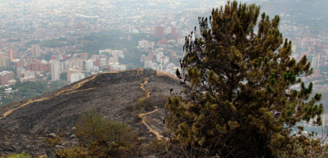 Van 3,5 millones de m2 de pastos quemados en m�s de 121 incendios forestales