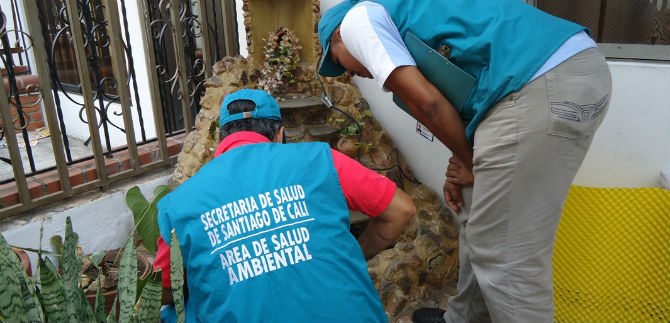 Sigue control a criaderos del zancudo del dengue y chikungunya