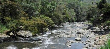 Llamados preventivos del CMGRD evitaron hechos que lamentar en r�o Pance