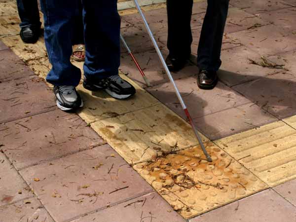 Por una mayor inclusi�n de las personas con discapacidad