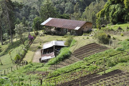 Incoder publica aviso de aceptaci�n de titulaci�n de predios bald�os en corregimientos de Cali