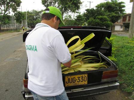Operativos del Dagma para proteger fauna y flora silvestres
