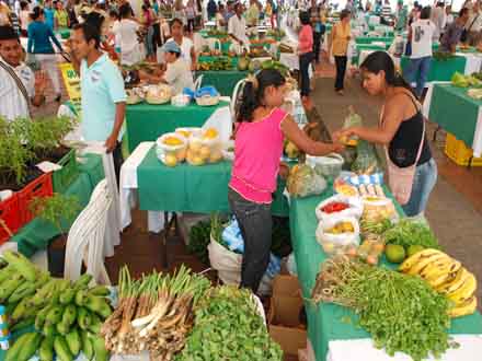 La Secretar�a de Salud har� controles de alimentos para que Cali celebre el D�a de la Madre