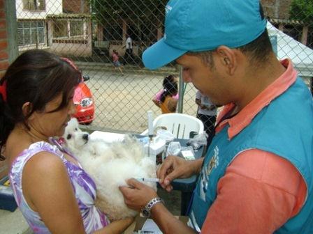 La Secretar�a de Salud refuerza medidas para evitar enfermedades  zoon�ticas
