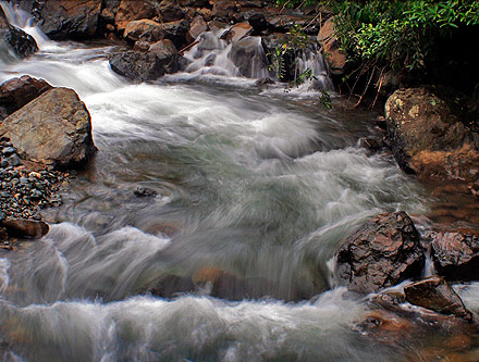 �Con sentido com�n, los cale�os pueden evitar el despilfarro de agua�