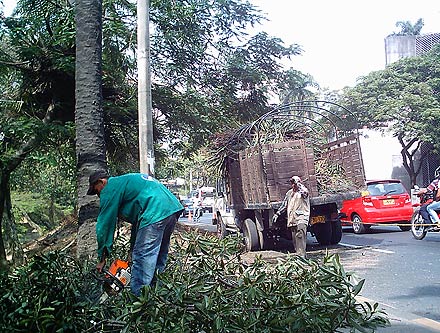 De usted depende que todos disfrutemos un ambiente sano: tenga en cuenta el Comparendo Ambiental