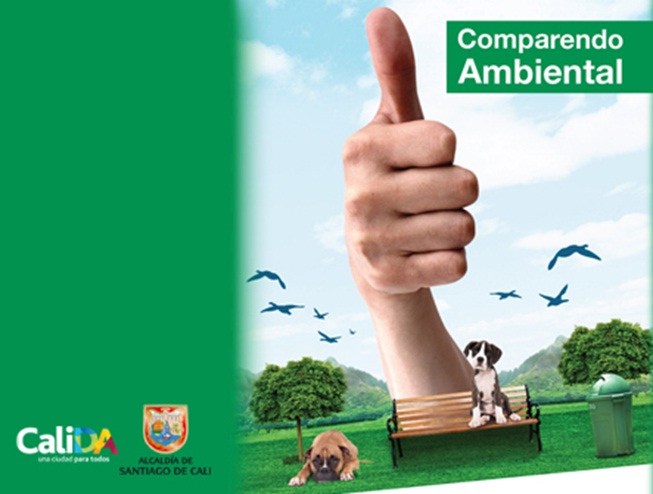 No olvide las conductas que sanciona el Comparendo Ambiental
