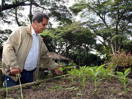 12 de octubre, D�a Nacional del �rbol: el Dagma empieza a sembrar guayacanes