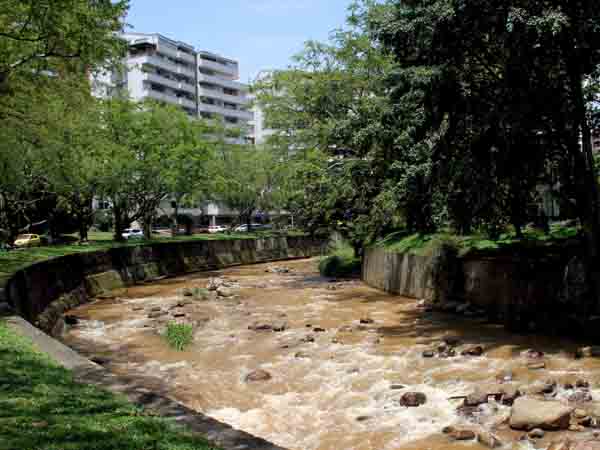 Dos d�as de �Plant�n verde por Cali�: jornadas de arborizaci�n generar�n 250 empleos