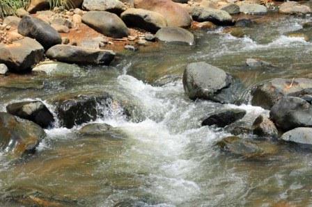 La instituci�n educativa Pance cerr� una semana cultural rindi�ndole culto al agua