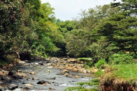 S�bado de caravana por el r�o Mel�ndez