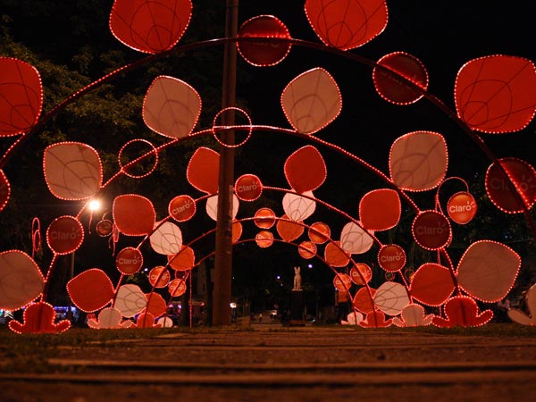 Cali, ejemplo de uni�n y pujanza que brilla con luz propia