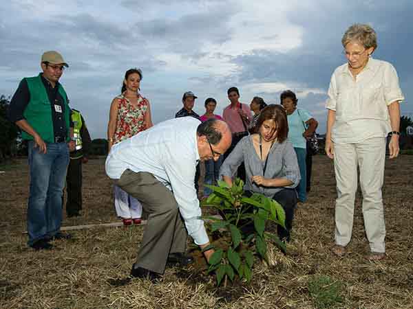 Con siembra de  guayac�n se da paso a la recuperaci�n paisaj�stica en la antigua escombrera de la carrera 50