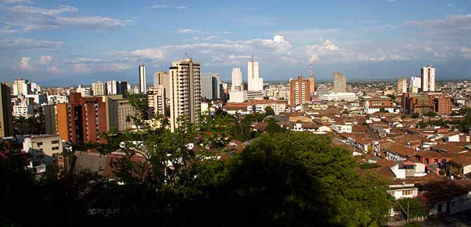 Dagma estableci� compensaci�n por tala de un  sam�n en el sur de Cali