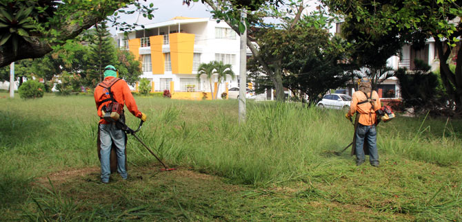 Dagma interviene parques y zonas verdes