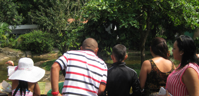 Personas en proceso de reintegraci�n conocieron el Zool�gico de Cali