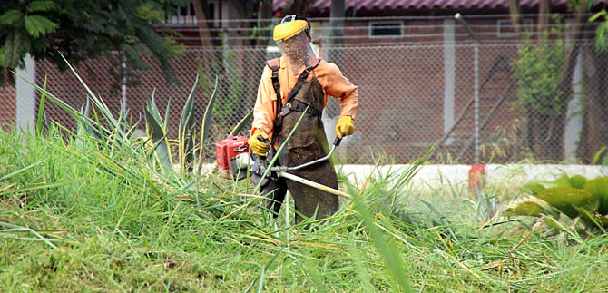 Avanza el mantenimiento de las zonas verdes en Cali