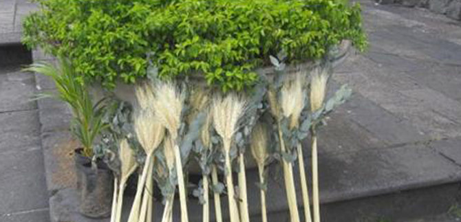 Cali protege el medio ambiente con sentido social, tambi�n en Semana Santa