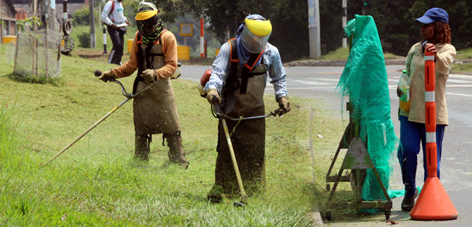 Dagma contin�a con la segunda poda a las zonas verdes de Cali, iniciada el 14 de mayo