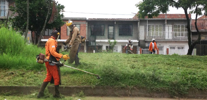 Dagma inici� cuarto mantenimiento de zonas verdes; en la tercera pod� 11 millones de m2