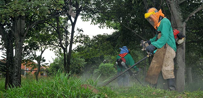 Dagma ha podado 8 millones de m2 de zonas verdes en cuarto mantenimiento