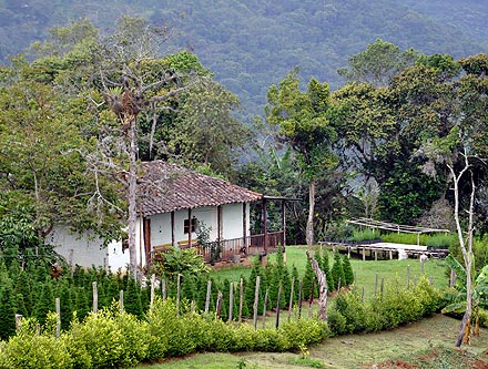 Zona rural de Cali cuenta con gu�as tur�sticos de calidad