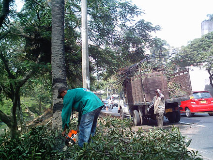 �Art�culo 34 del proyecto de Ley de reforma al Sistema Nacional Ambiental es contraproducente para Cali�: Directora del Dagma