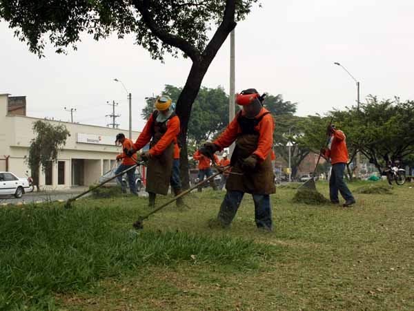 Corte de zonas verdes en Cali va en un 85 %