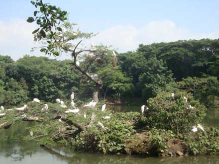 El Ecoparque Lago de las Garzas le har� un �Canto al agua�, este mi�rcoles 21 de marzo