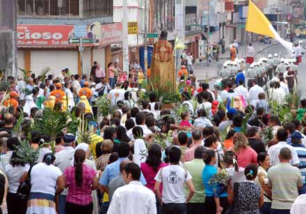 Campa�a para no utilizar palmas nativas silvestres en esta Semana Santa