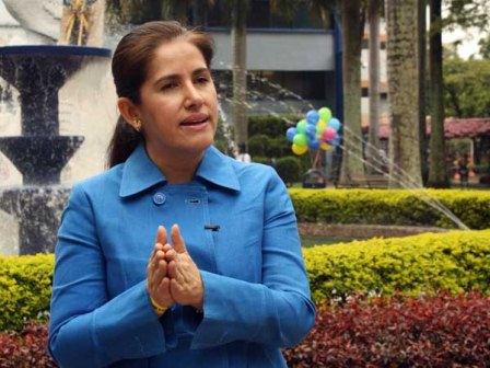 La madera de la ceiba que se desplom� ser� entregada a centros de ebanister�a de estrato 1, en Cali